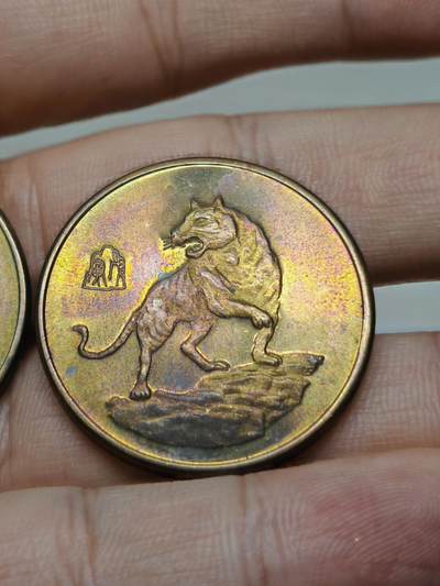 1998年 农业银行上海分行 虎年纪念铜章2枚 带点小彩 1998年 农业银行上海分行 虎年纪念铜章2枚 带点小彩