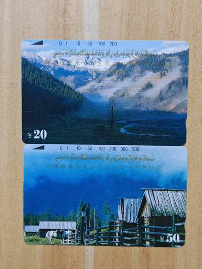 （手机SIM卡 IC卡 交通卡 磁卡）第08期2025年11月16日晚21：10时延时截拍 - 磁卡一套2张旧卡