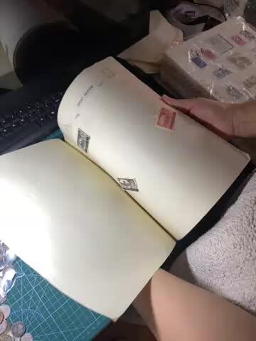 2025年第一百二十九场(总第一百五十五场）外国邮票、散币场(免佣金) 外国老藏家–集邮套册74页(含大量外国老邮票)