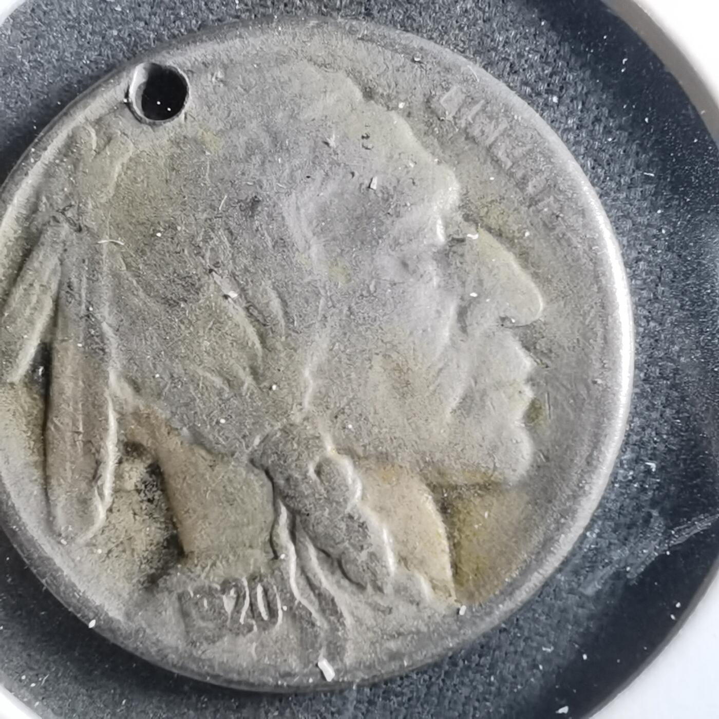 沼泽如烟--第906场 1920年五分野牛