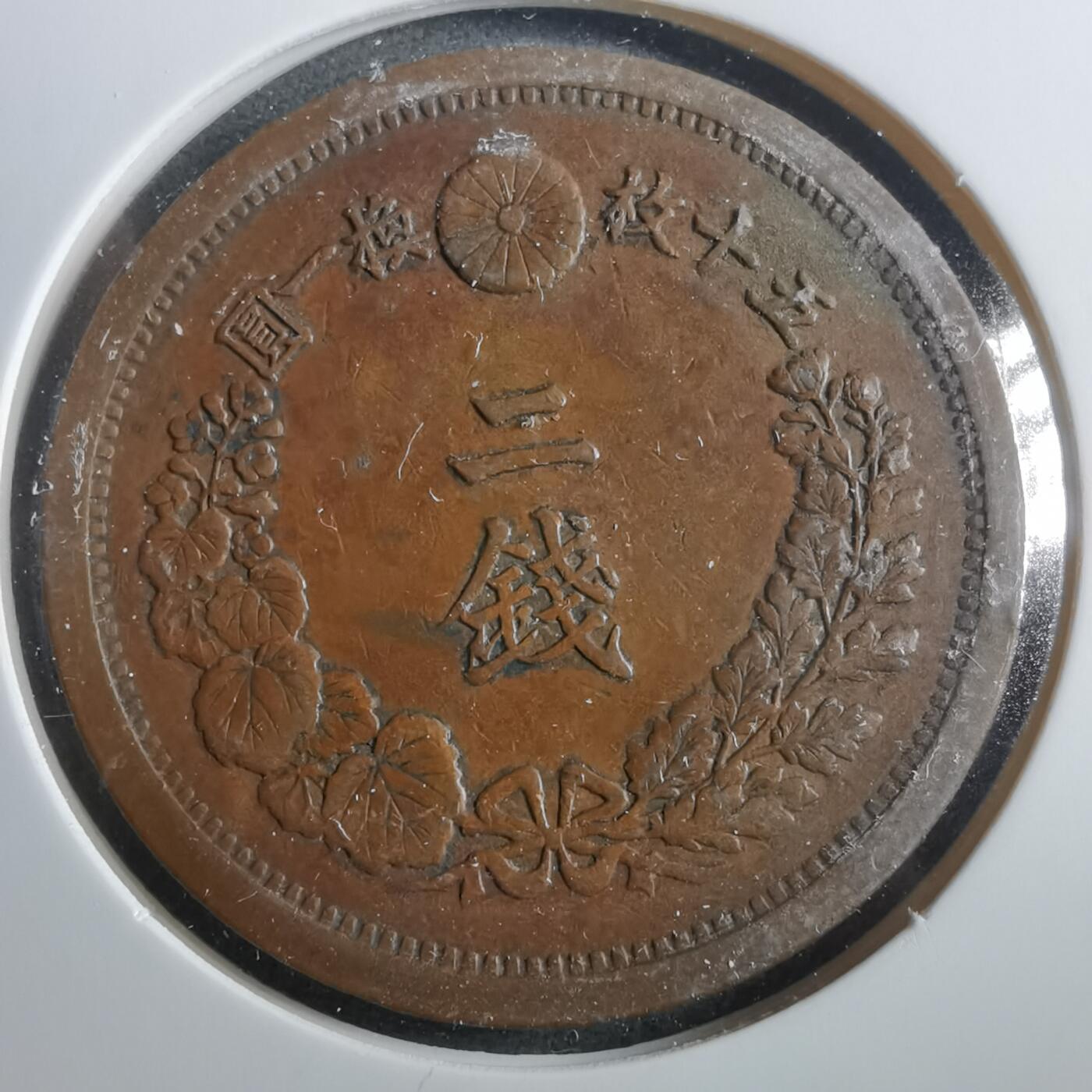 沼泽如烟--第906场