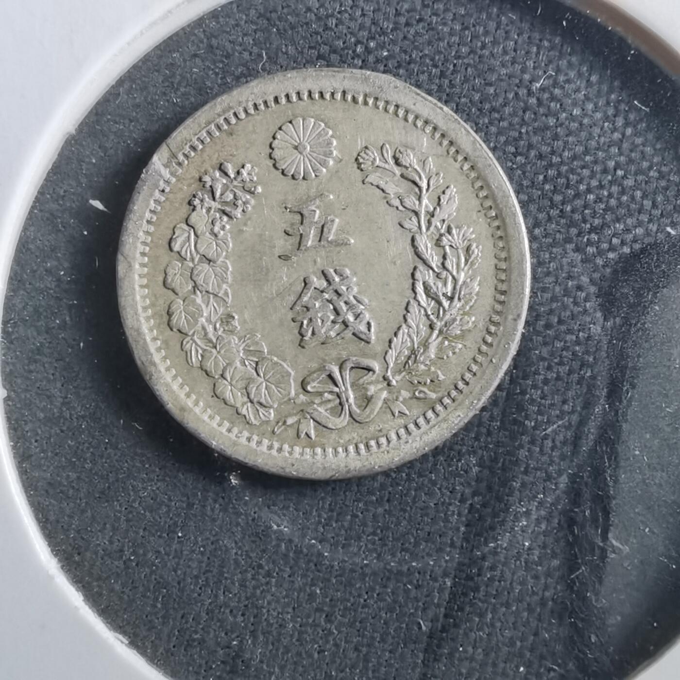 沼泽如烟--第906场