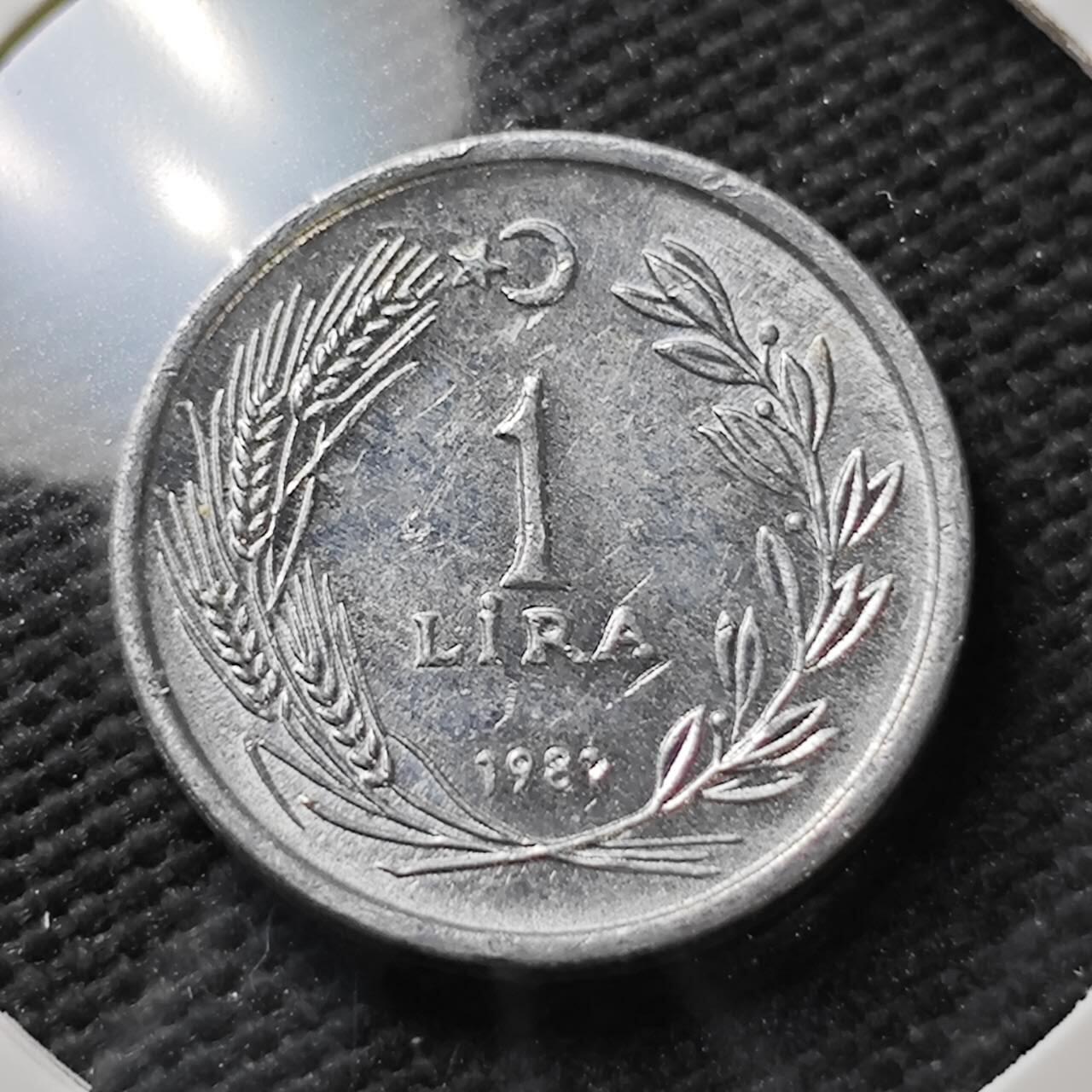 KK钱币收藏小铺  第371场  2月预留时间 周末发货