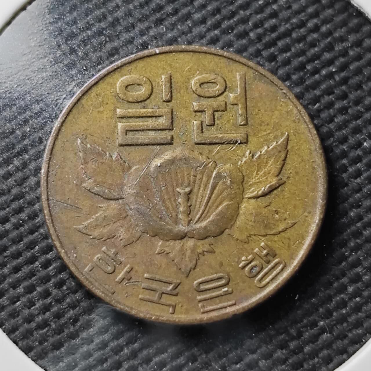 KK钱币收藏小铺  第371场  2月预留时间 周末发货