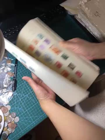 2025年第一百二十九场(总第一百五十五场）外国邮票、散币场(免佣金) 外国老藏家–集邮套册81页(含大量外国老邮票)