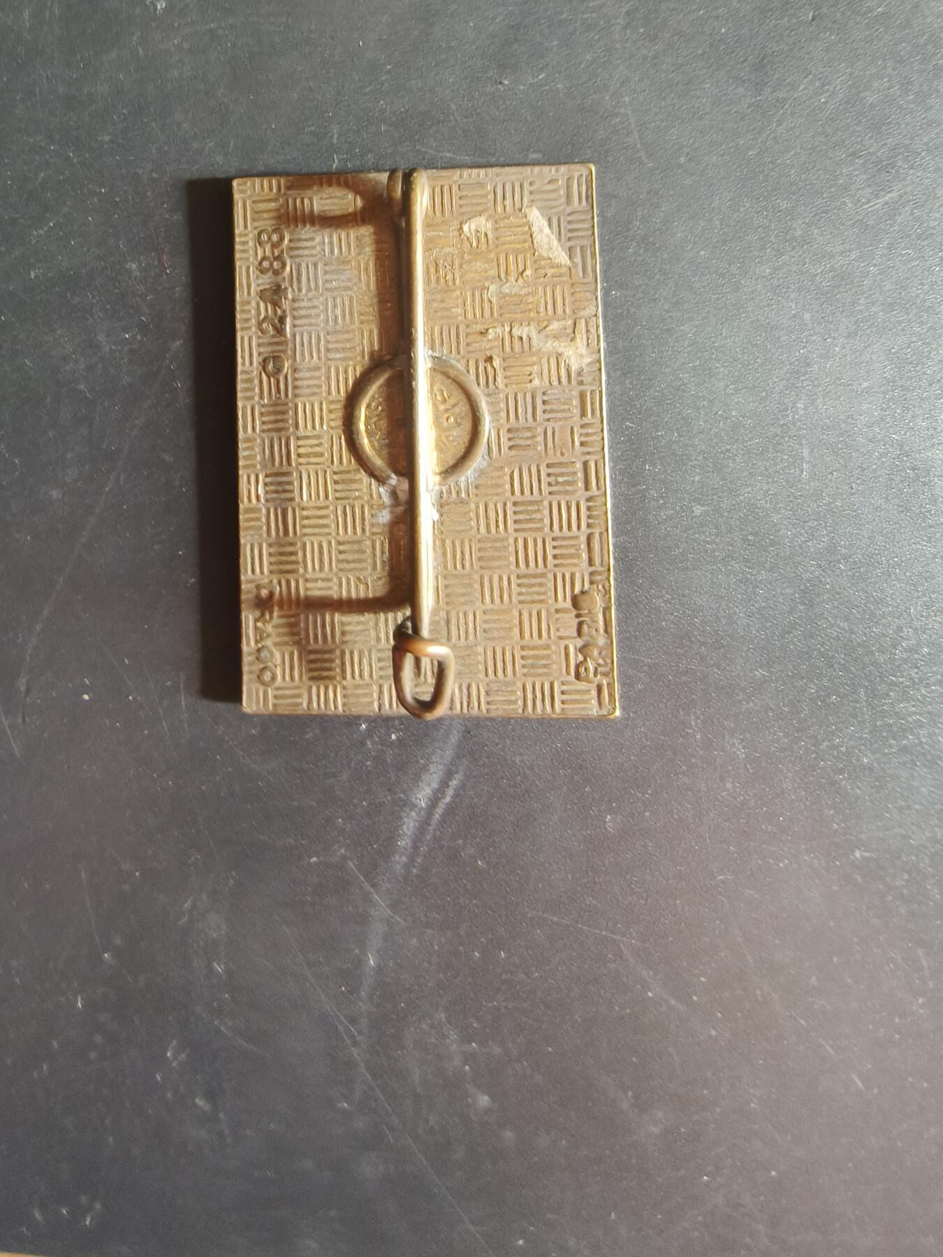 老王徽章第163期 13-15日三场连拍 16日统一发货  13、14日结束后可寄存 法国证章