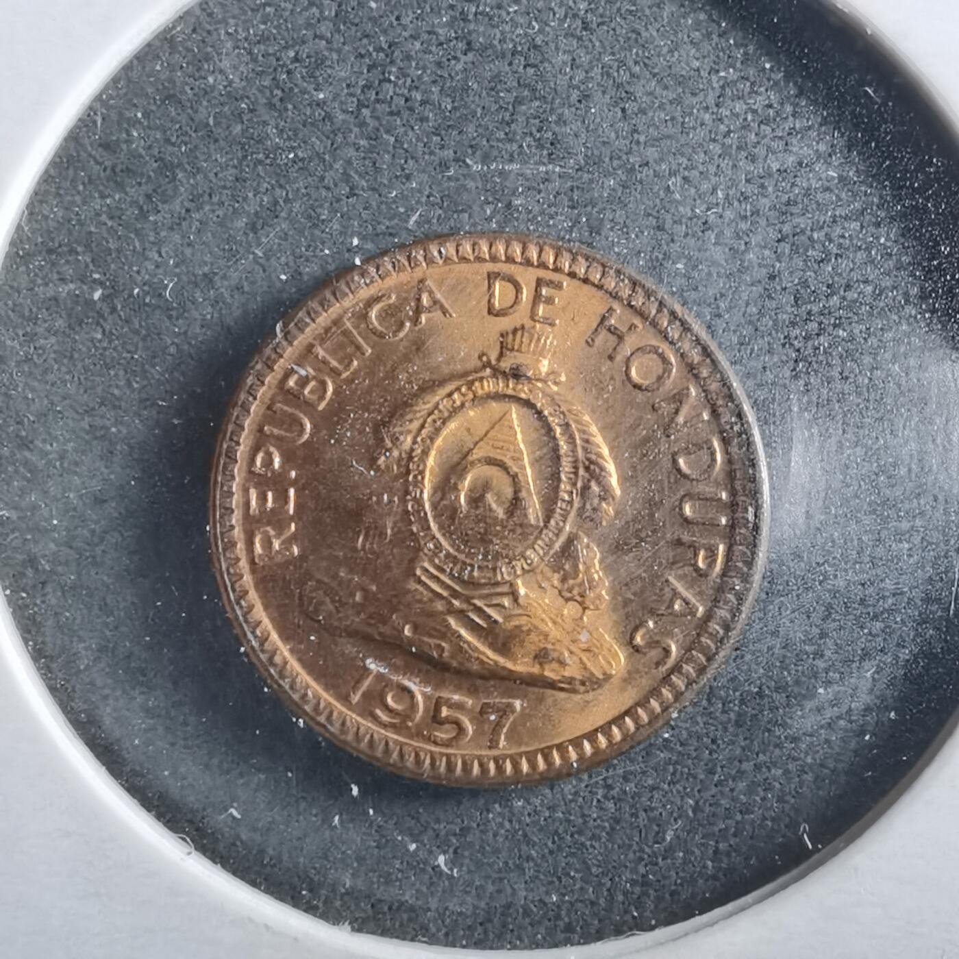 沼泽如烟--第906场