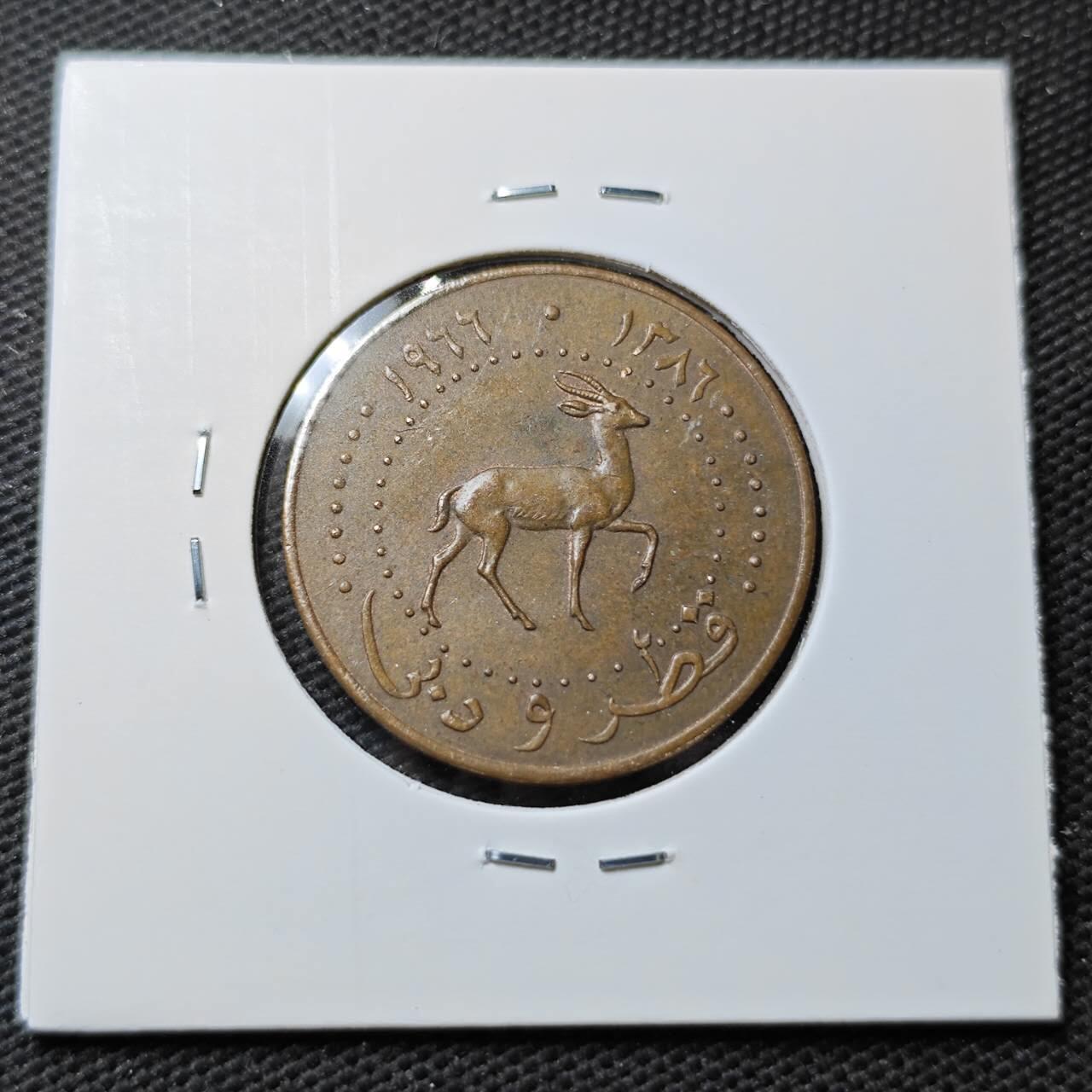 KK钱币收藏小铺  第372场  2月预留时间 周末发货