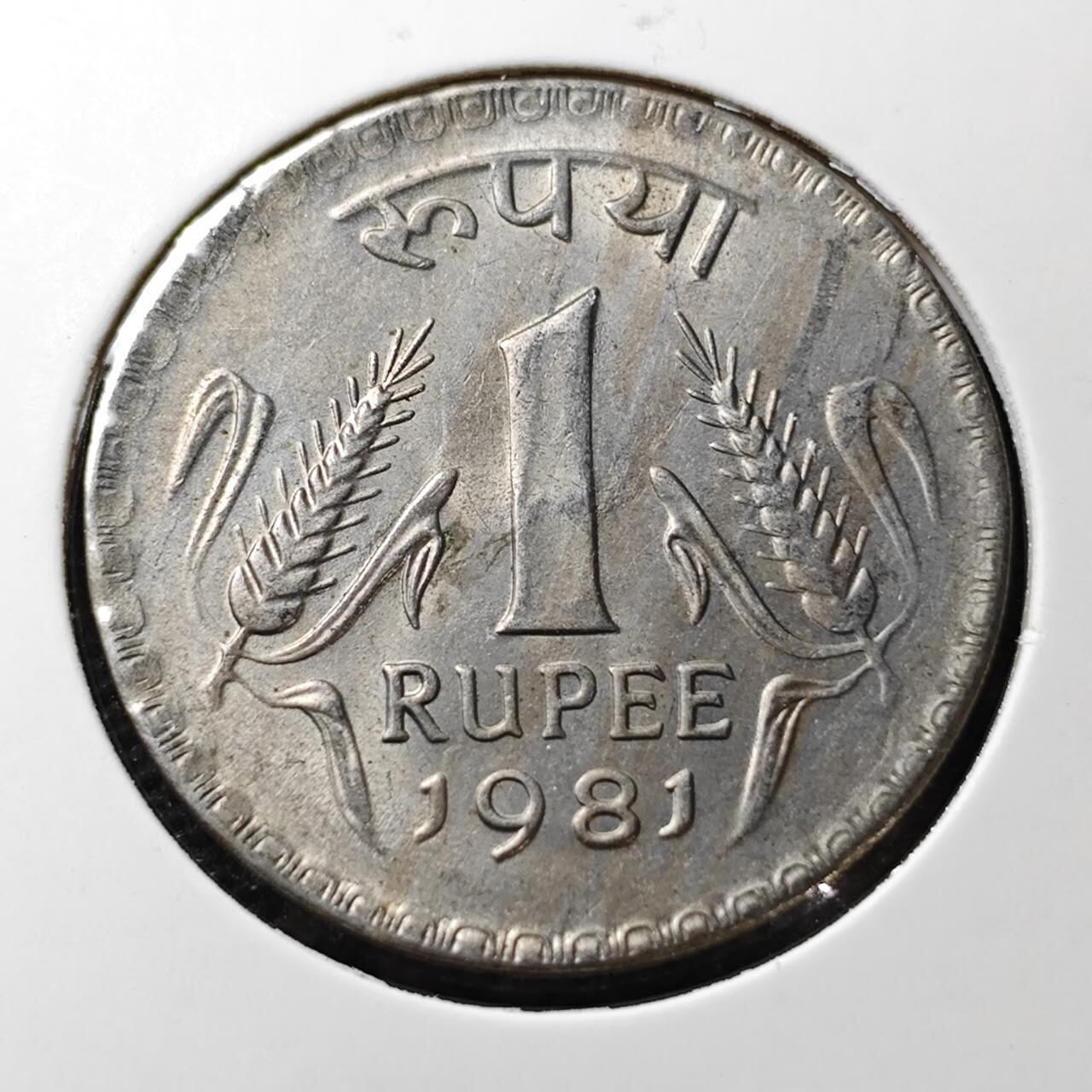 KK钱币收藏小铺  第372场  2月预留时间 周末发货  1981印度1卢比 大卢比