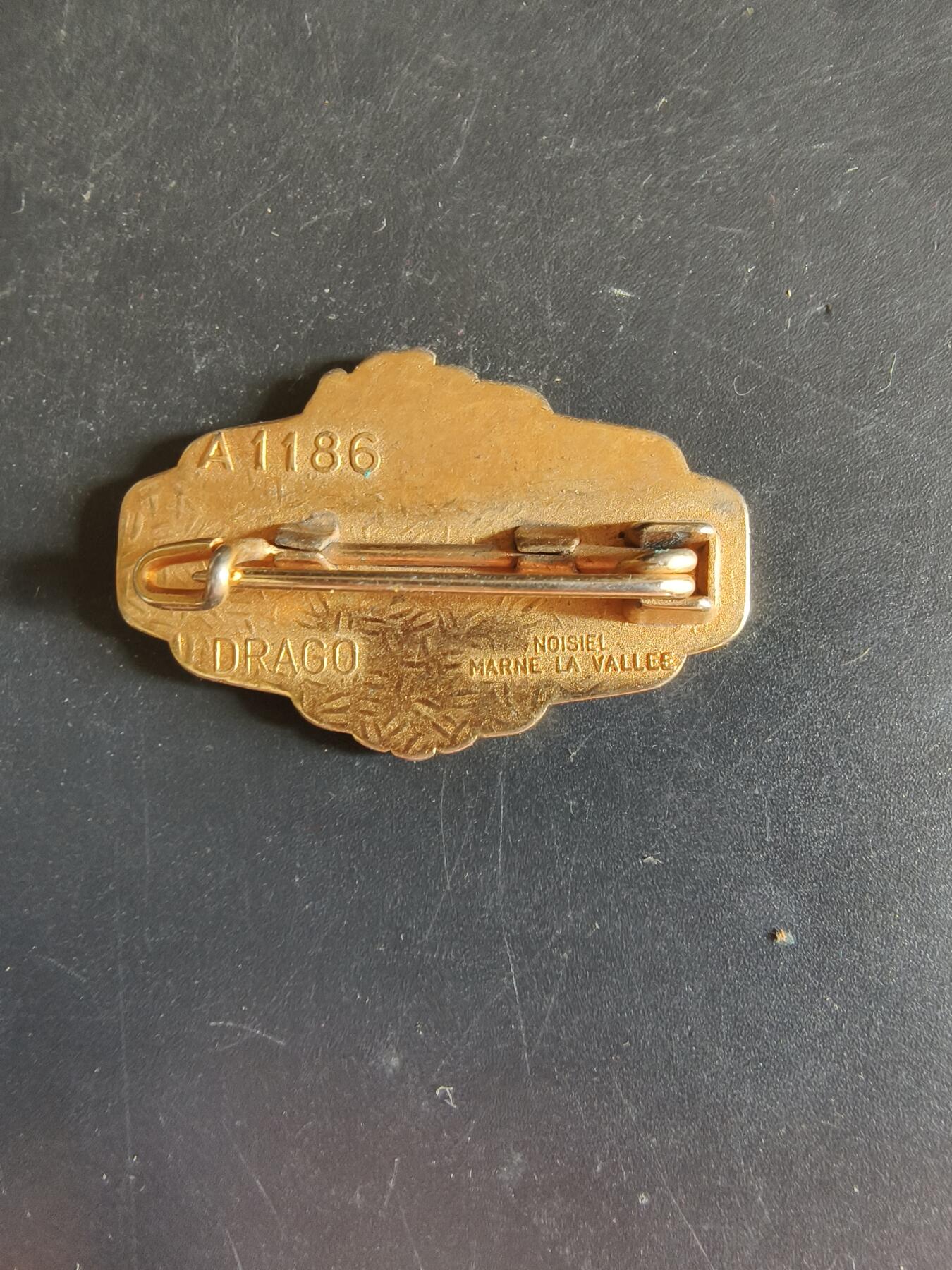 老王徽章第163期 13-15日三场连拍 16日统一发货  13、14日结束后可寄存 法国证章