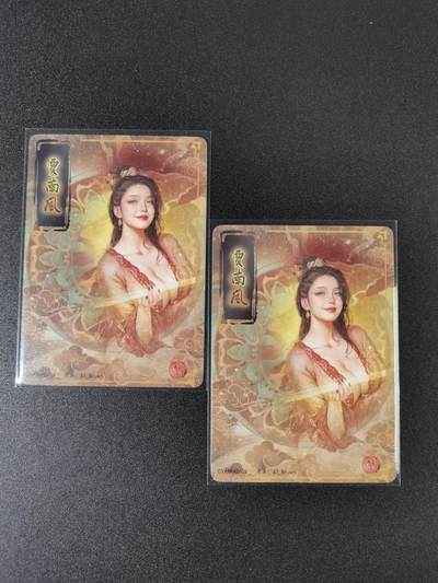 NO.15 好又多金牌大场，双11狂欢继续！每周一站式配齐，方便凑单！（周6晚8点截拍，卖家送拍0抽成！） - （人间传第16弹①）燎原人间传 刷子 第16弹贾南风 双服饰一对——幻彩普卡工艺