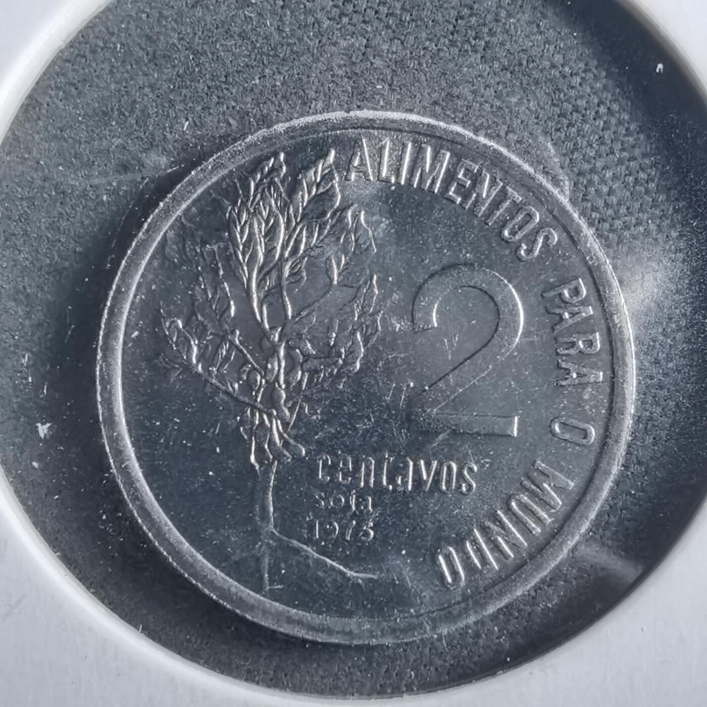 沼泽如烟--第906场