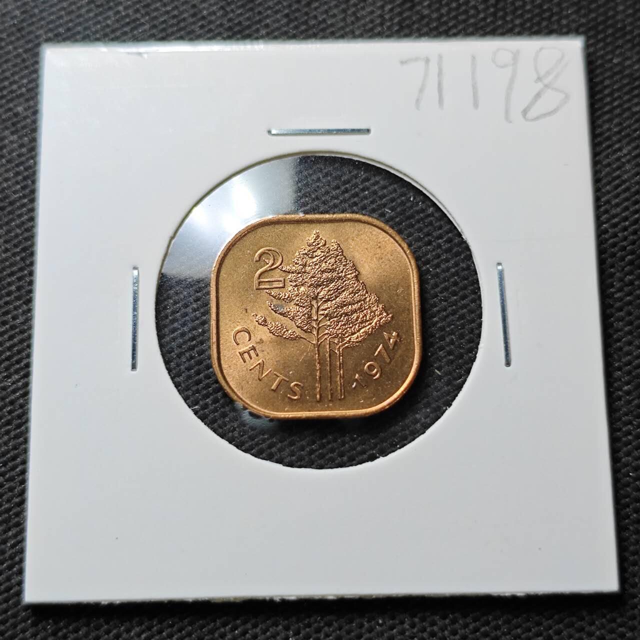 KK钱币收藏小铺  第371场  2月预留时间 周末发货  斯威士兰2分铜币 好品