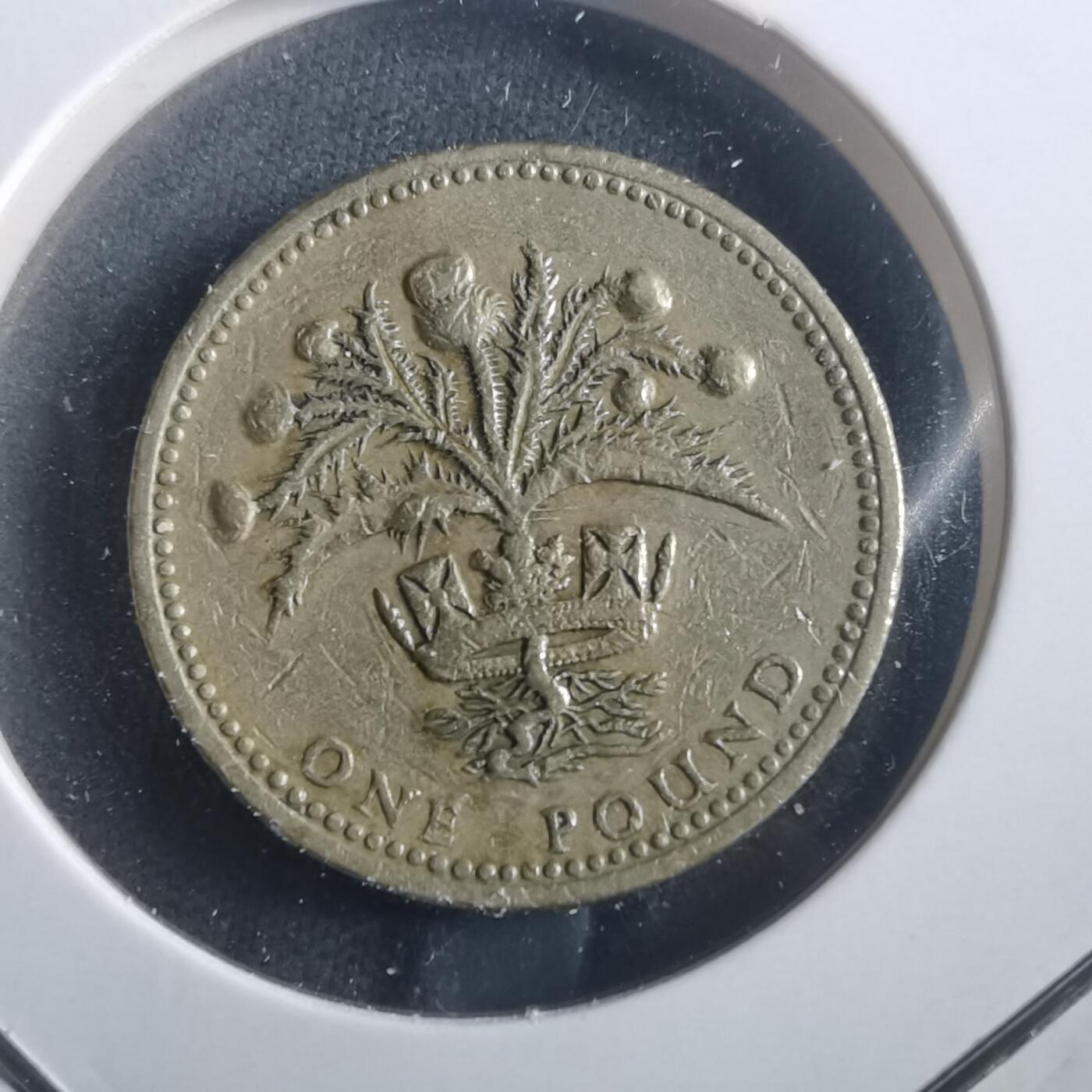 沼泽如烟--第904场 英国1984年一磅