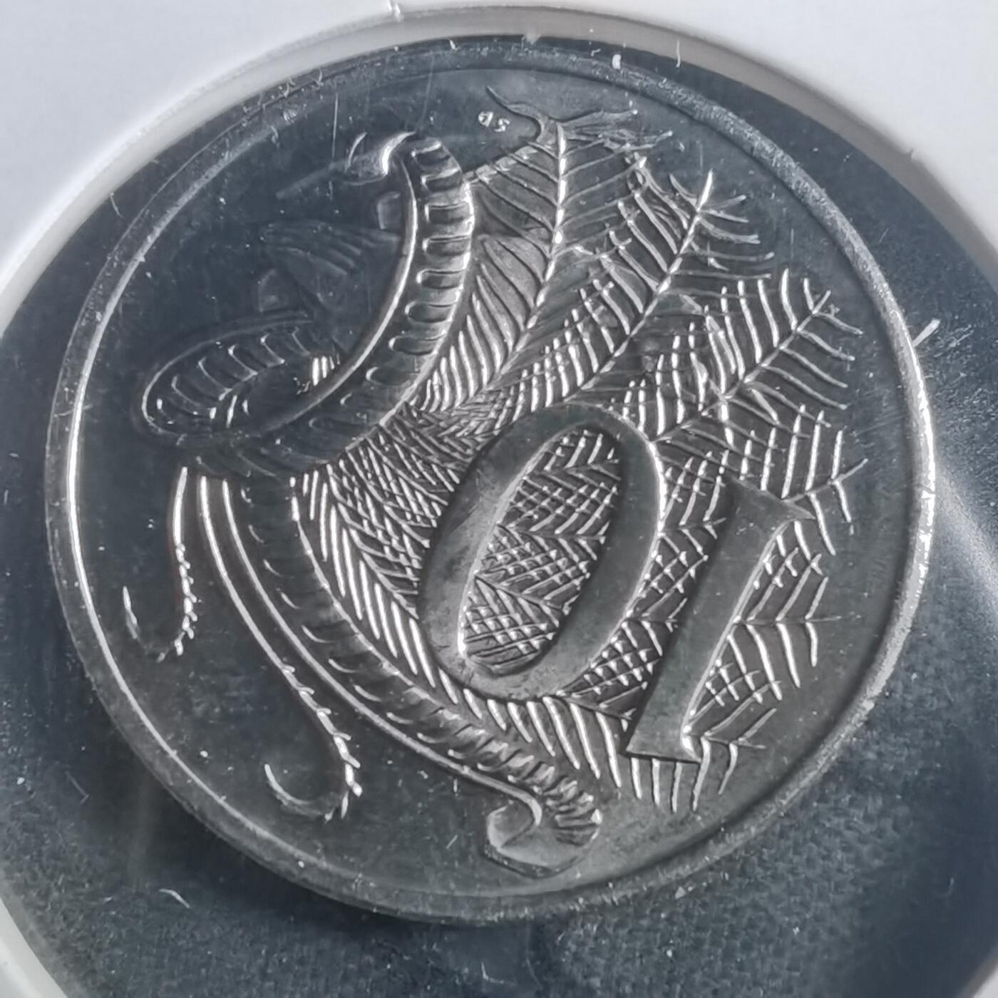 沼泽如烟--第904场 澳大利亚2024年十分