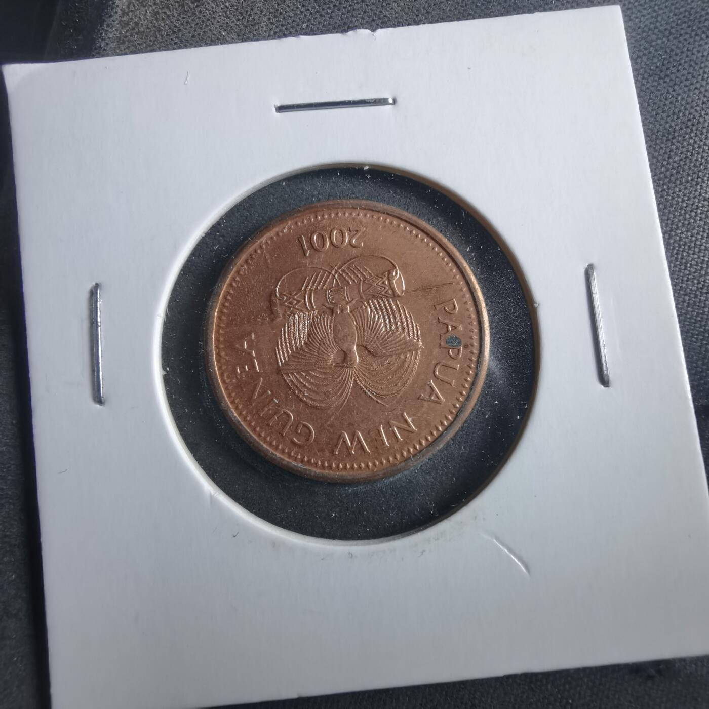 沼泽如烟--第906场