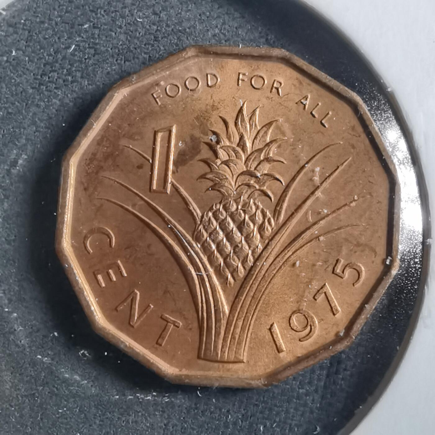 沼泽如烟--第906场 斯威士兰1975年一分