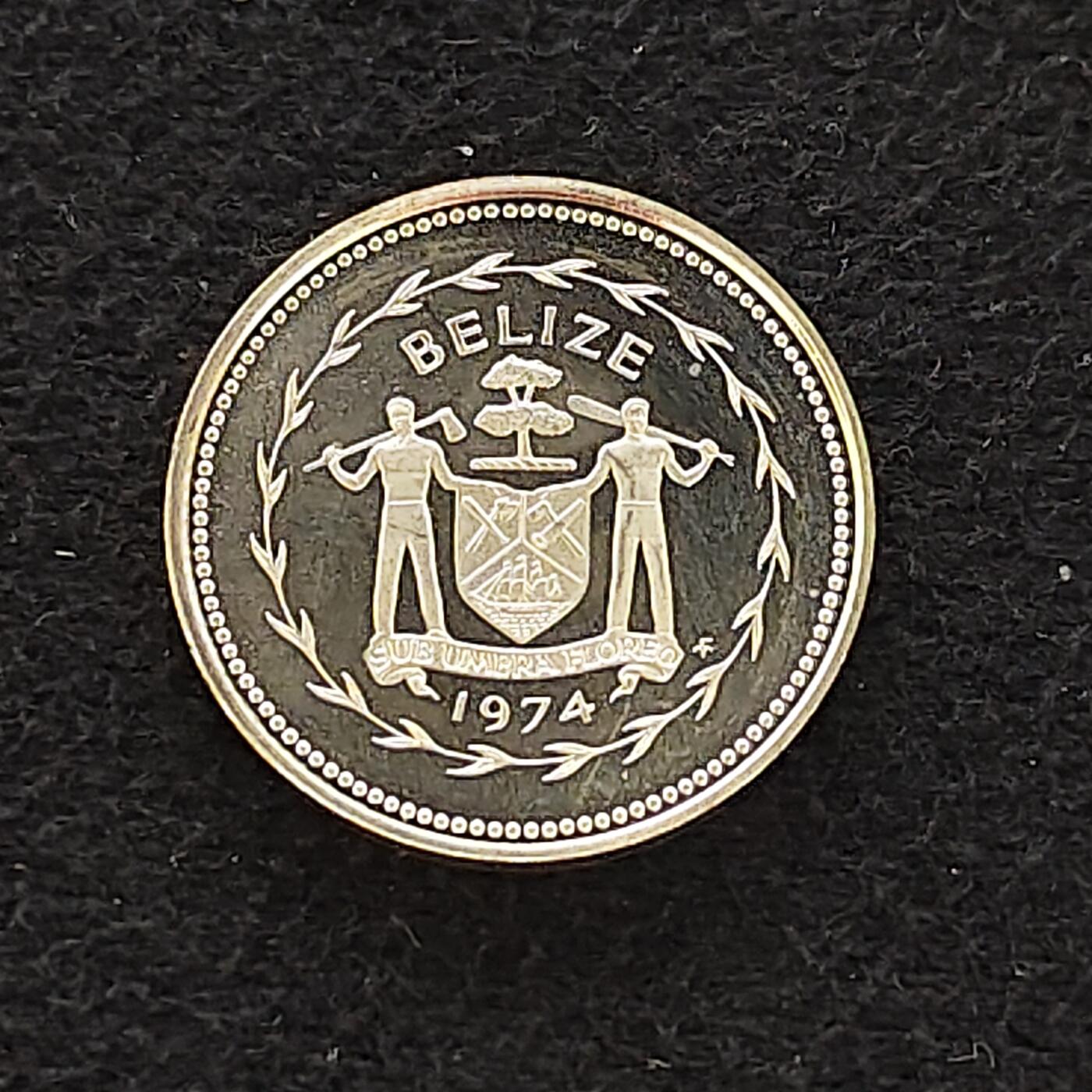 【全场包邮】纯粹捡漏拍478场（免费代拍第15场） 伯利兹1974年1分燕尾鸢精制银币