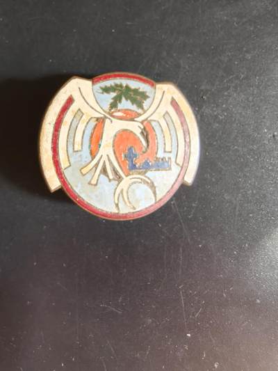 老王徽章第163期 13-15日三场连拍 16日统一发货  13、14日结束后可寄存 - 法国证章