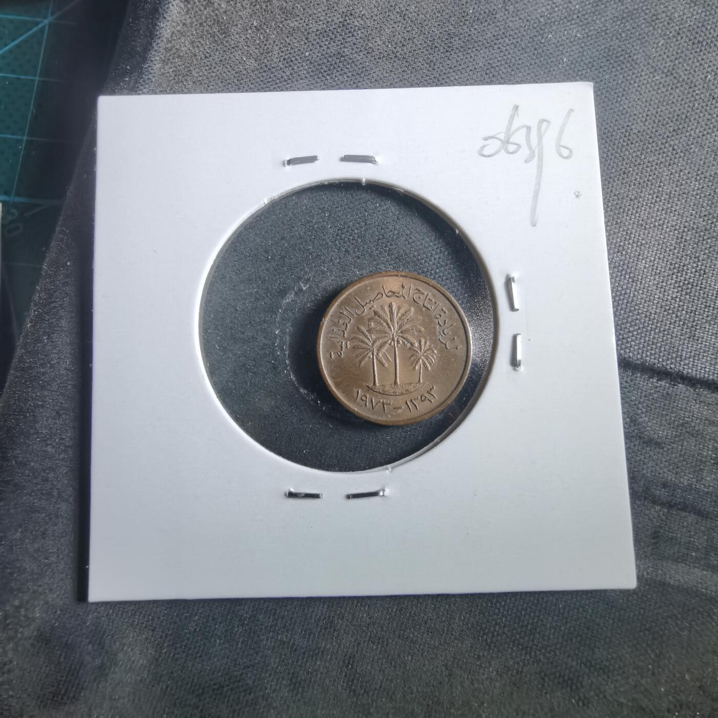 沼泽如烟--第906场 阿联酋