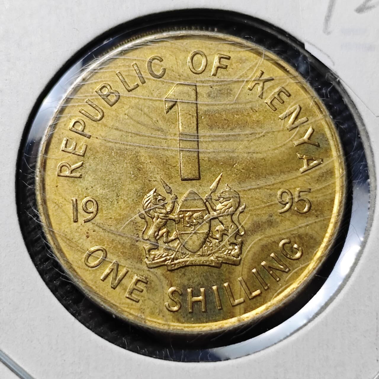 KK钱币收藏小铺  第372场  2月预留时间 周末发货