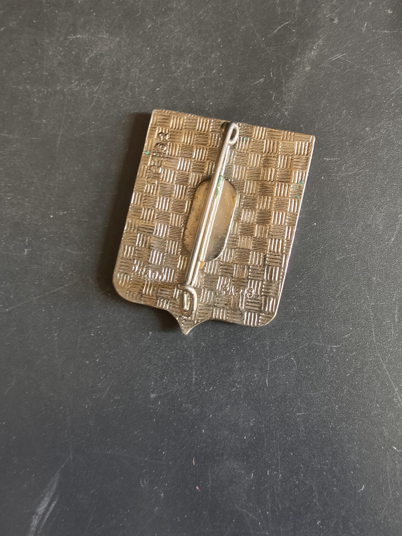 老王徽章第163期 13-15日三场连拍 16日统一发货  13、14日结束后可寄存 法国证章