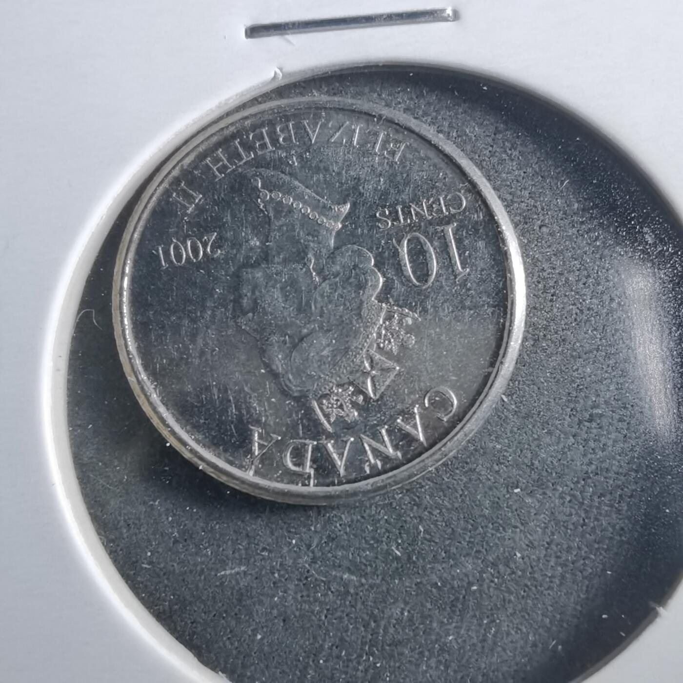 沼泽如烟--第906场