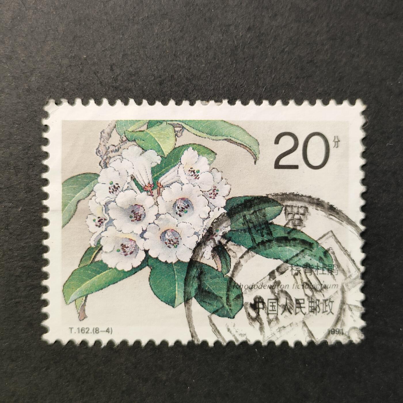 嘉禾收藏    【第381期】            无佣金、可寄存、满30元包邮 中国🇨🇳