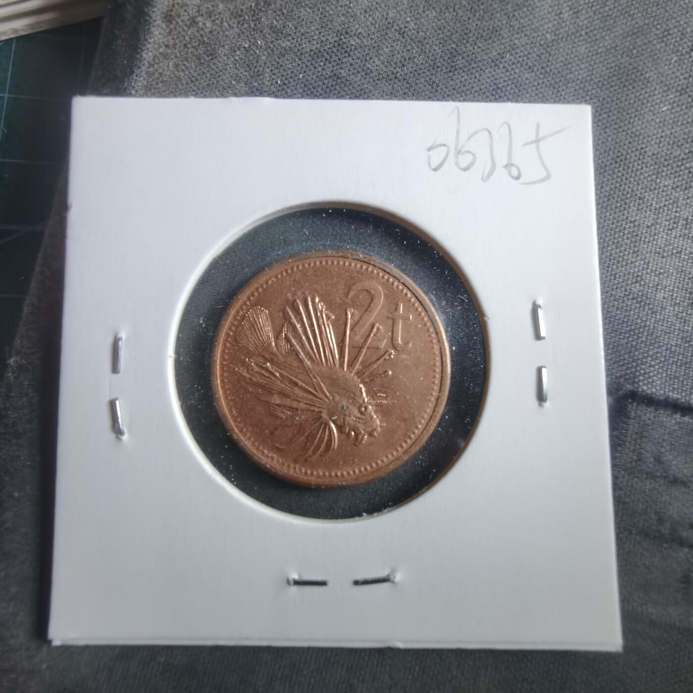 沼泽如烟--第906场