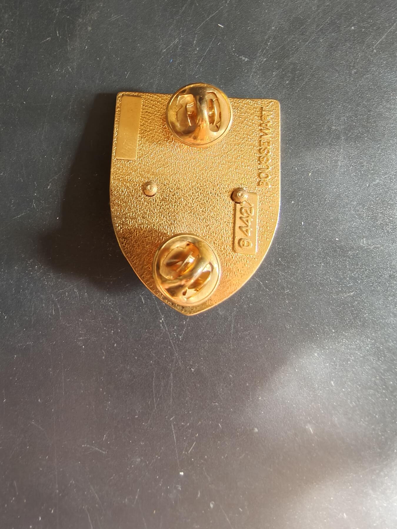 老王徽章第163期 13-15日三场连拍 16日统一发货  13、14日结束后可寄存 法国证章