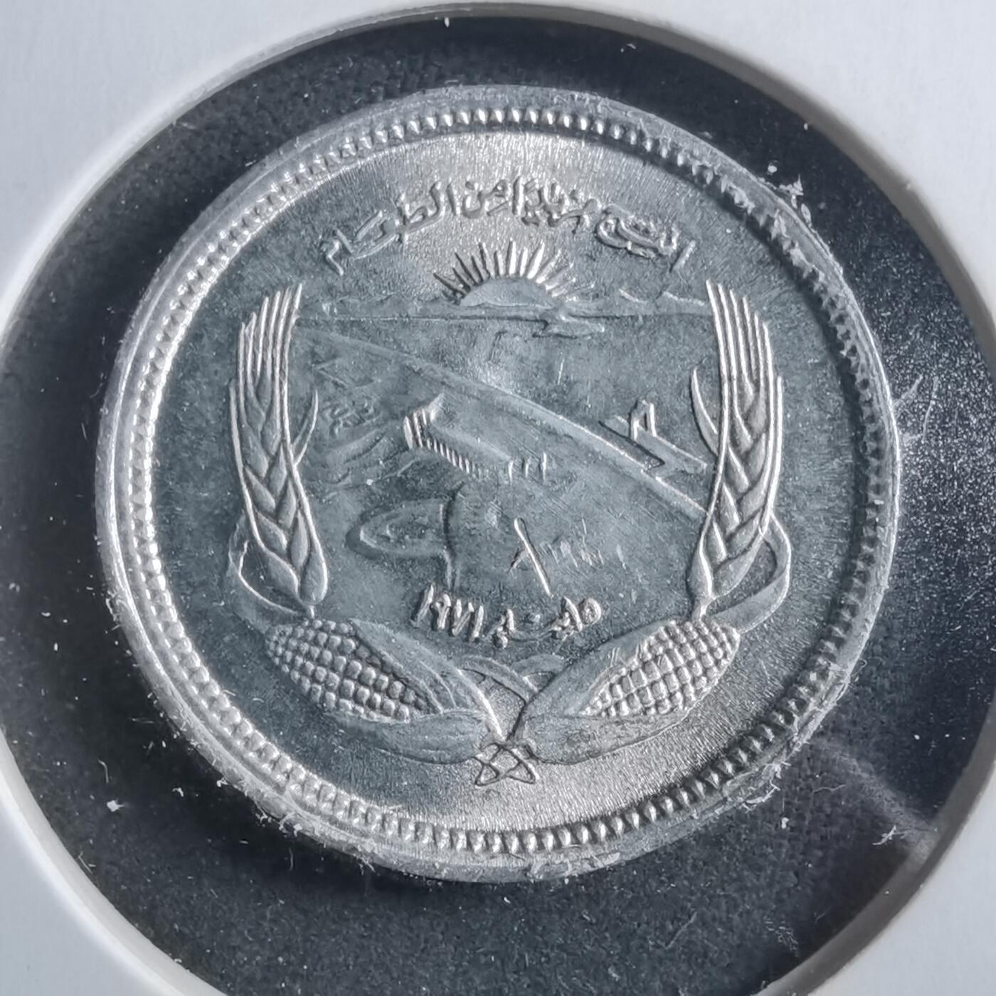 沼泽如烟--第906场 埃及纪念币