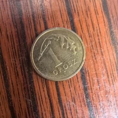 泡泡币外币第三十场可代拍15038385335微信 - 波兰硬币。