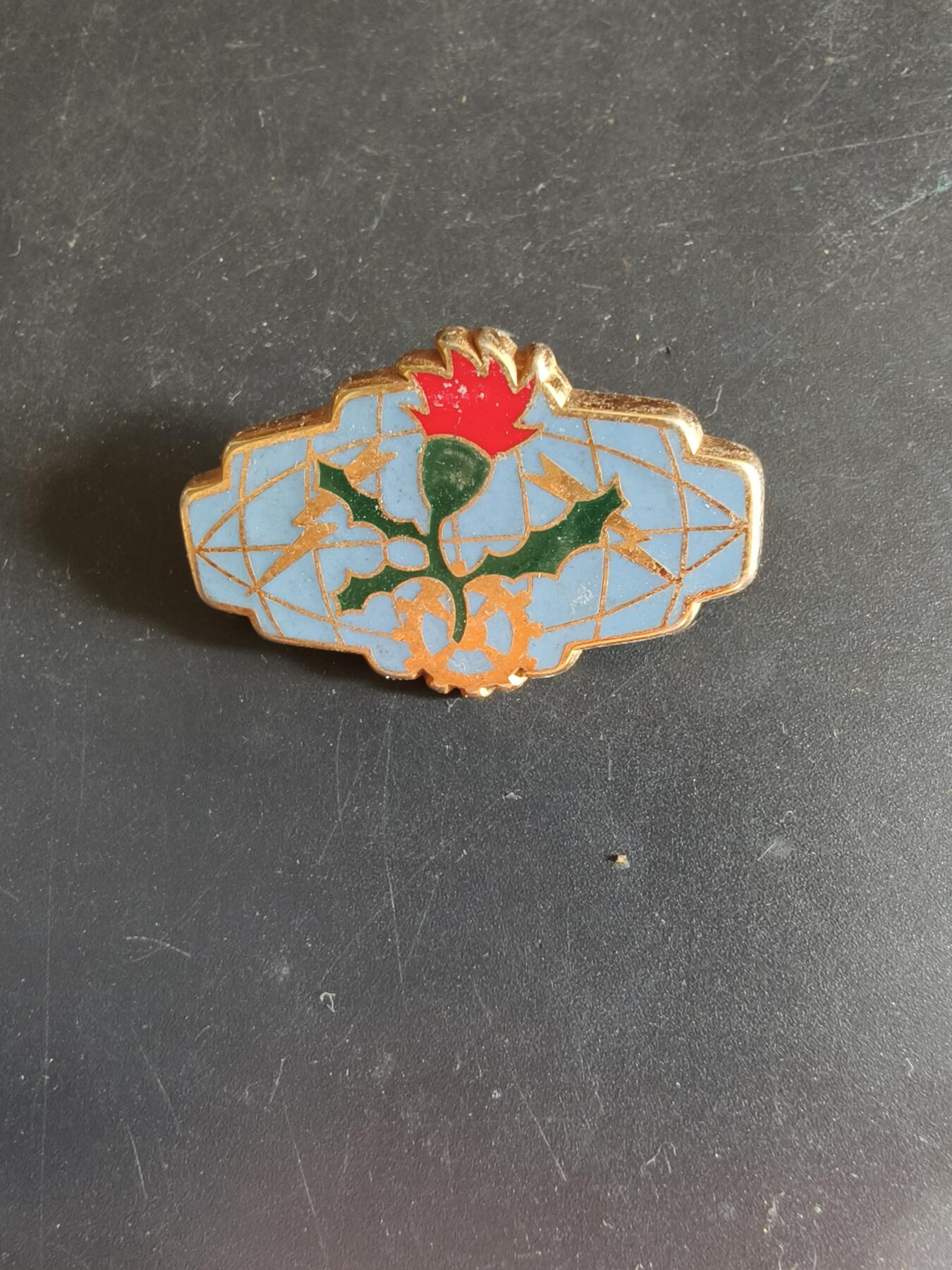 老王徽章第163期 13-15日三场连拍 16日统一发货  13、14日结束后可寄存 法国证章