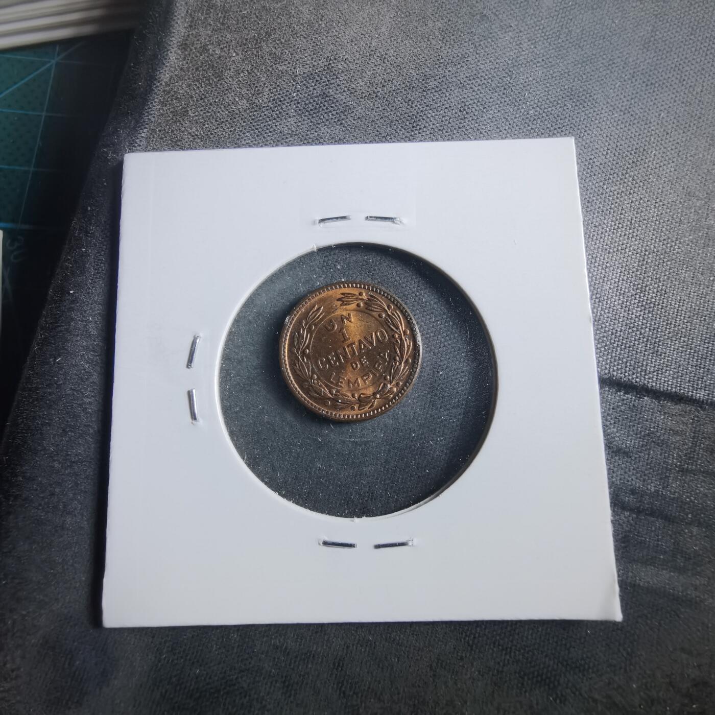 沼泽如烟--第906场