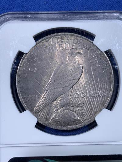 《竞宝斋》第438场 周日，周一，周二 3场连拍 （全场包邮） NGC MS62 美国1923年和平银币 两面均匀的灰彩，和平银币铸造过程中添加了抑制氧化的材料，所以和平带彩的非常少 非常难得，因此也比白币贵许多