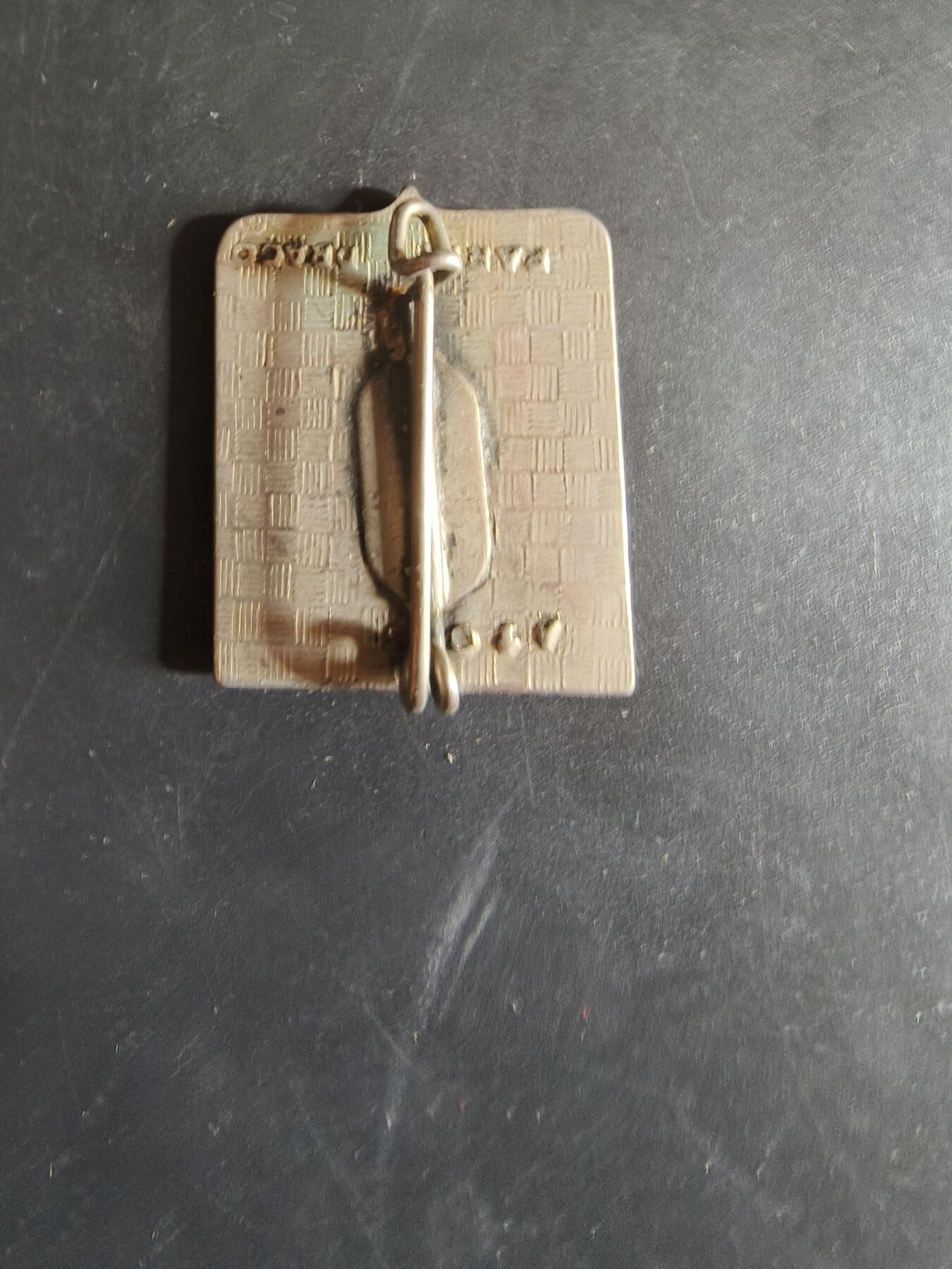 老王徽章第163期 13-15日三场连拍 16日统一发货  13、14日结束后可寄存 法国证章