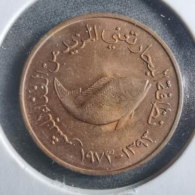 沼泽如烟--第906场 - 阿联酋