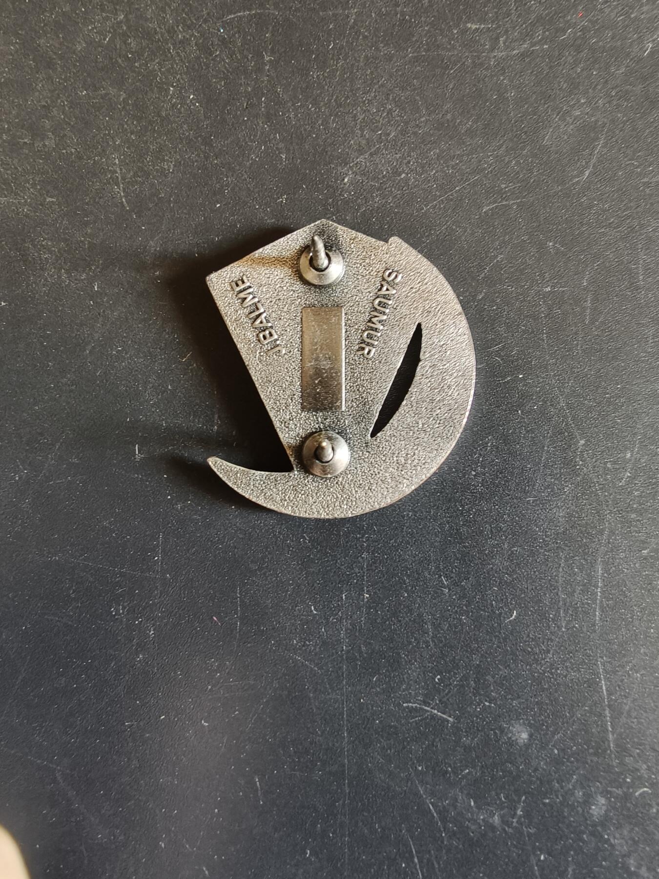 老王徽章第163期 13-15日三场连拍 16日统一发货  13、14日结束后可寄存 法国证章