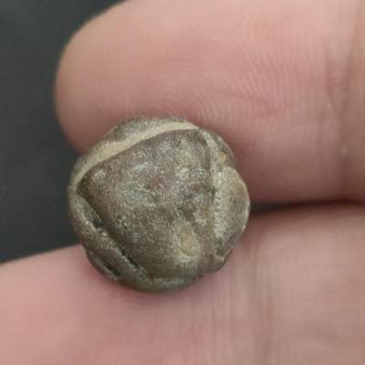 猩哥外币小铺➨【第202场】 - 铜扣子