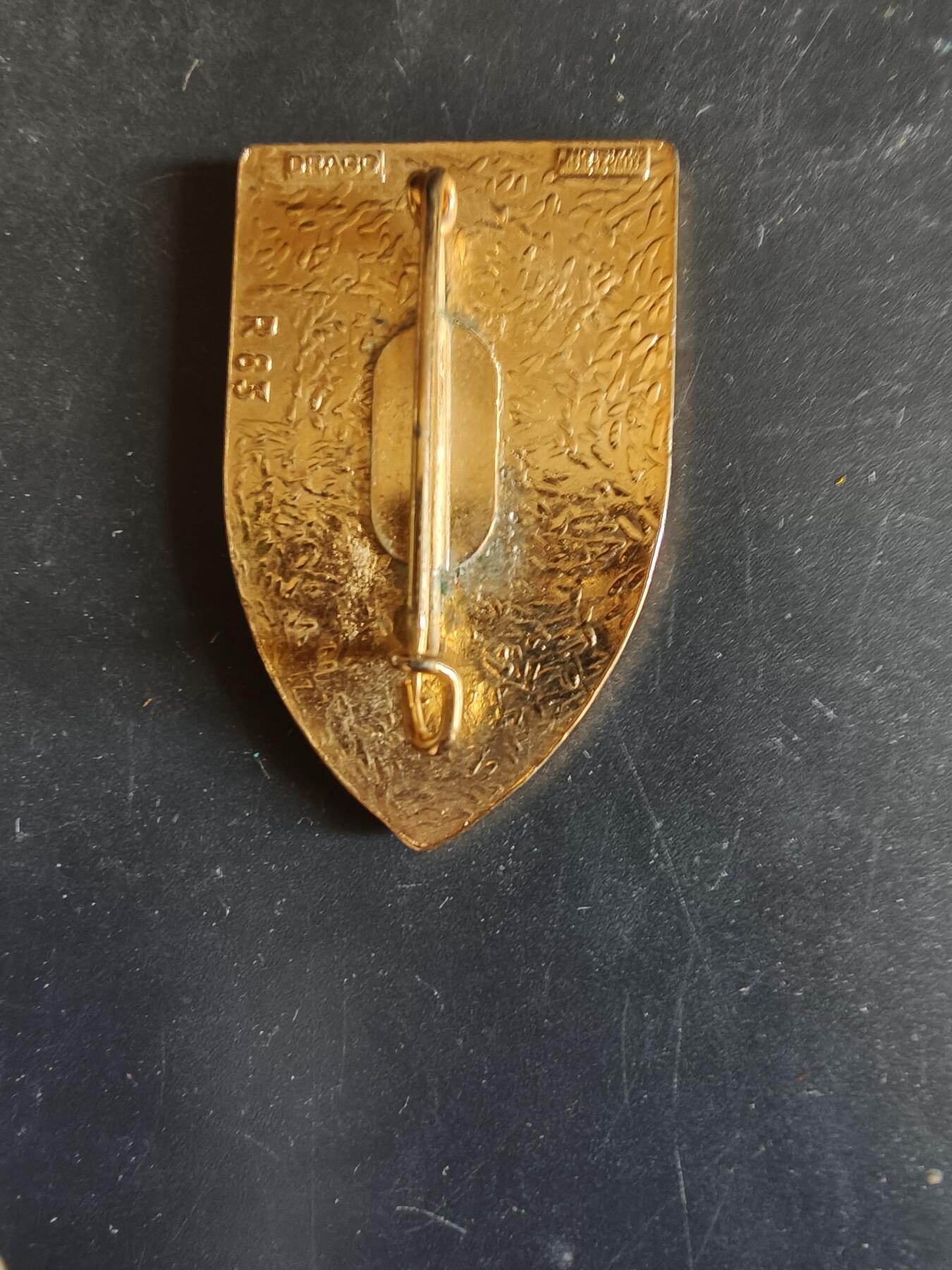 老王徽章第163期 13-15日三场连拍 16日统一发货  13、14日结束后可寄存 法国证章