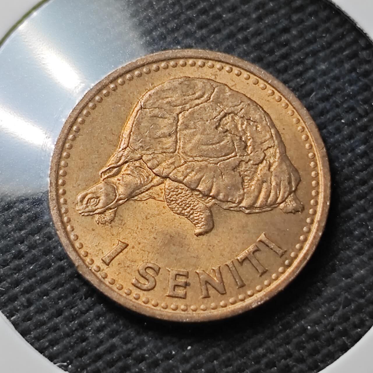 KK钱币收藏小铺  第371场  2月预留时间 周末发货  1968汤加一分铜币 好品