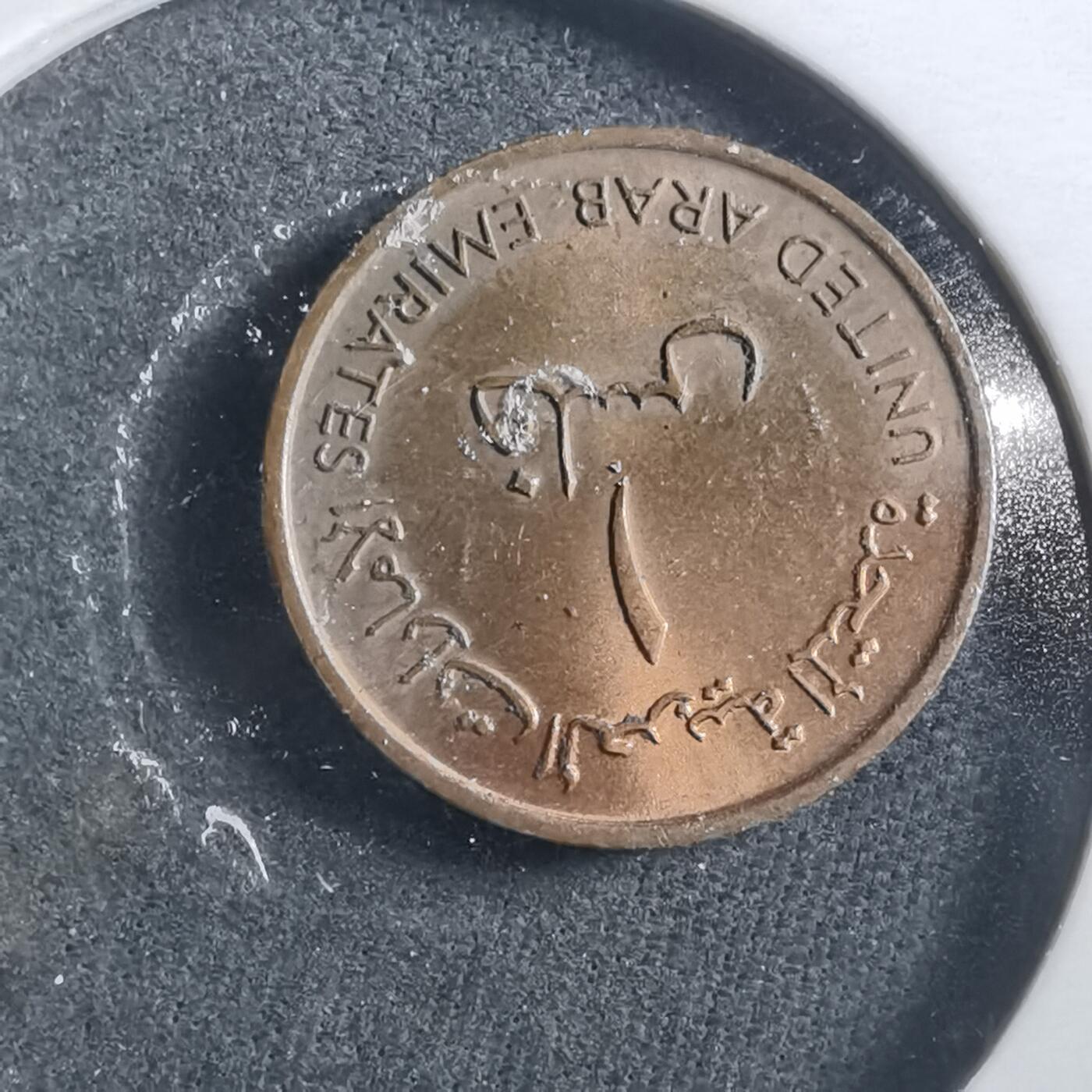 沼泽如烟--第906场 阿联酋