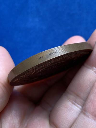 《竞宝斋》第438场 周日，周一，周二 3场连拍 （全场包邮） 法国自然生态环境保护纪念章 正面为经典的玛丽安娜头像 1971 丰饶角铜标边铭 77克 50mm