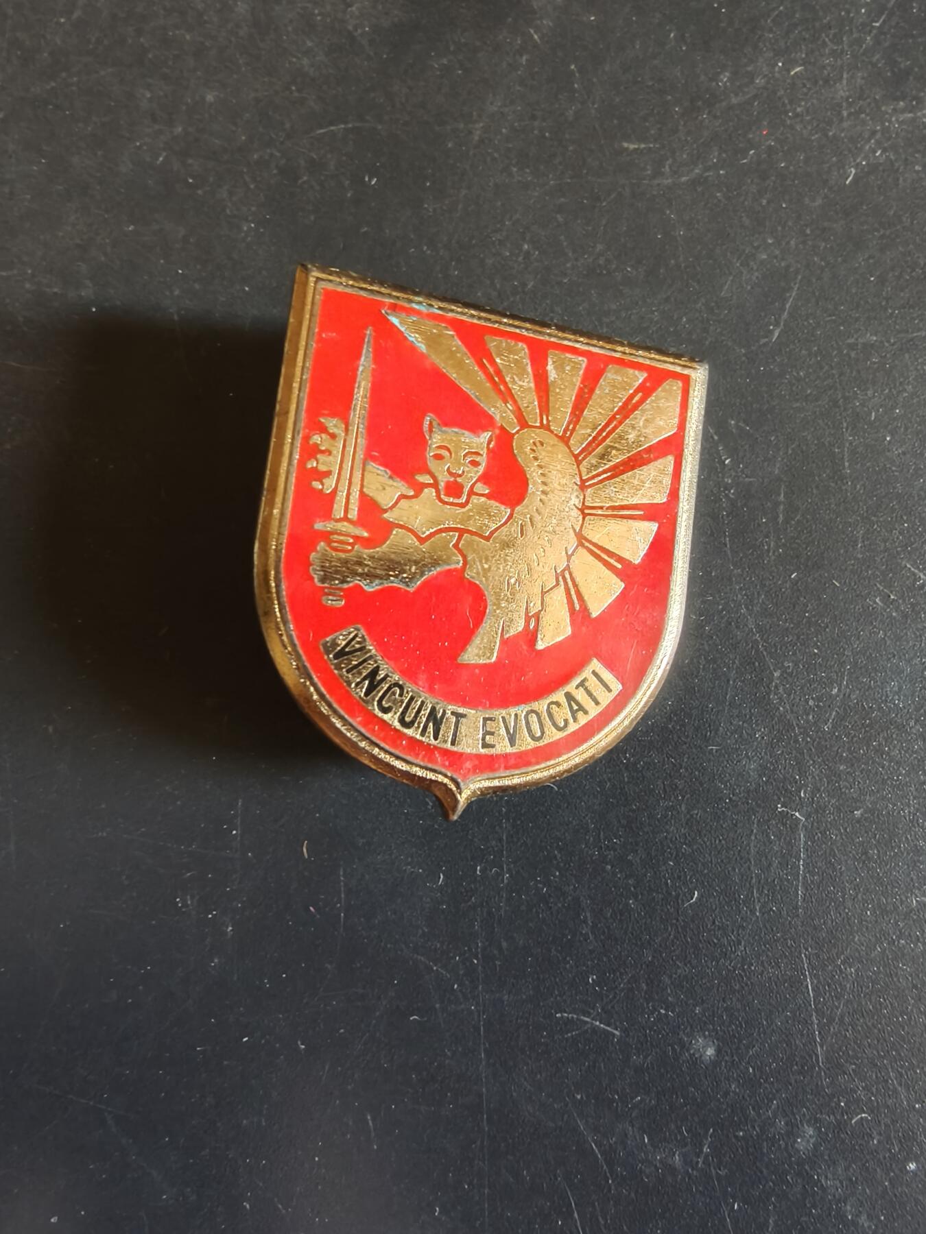 老王徽章第163期 13-15日三场连拍 16日统一发货  13、14日结束后可寄存 法国证章