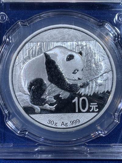 《竞宝斋》第438场 周日，周一，周二 3场连拍 （全场包邮） 中国金币封装 中国 2016年 10元  熊猫银币 品相极好 银价高涨 状态不错
