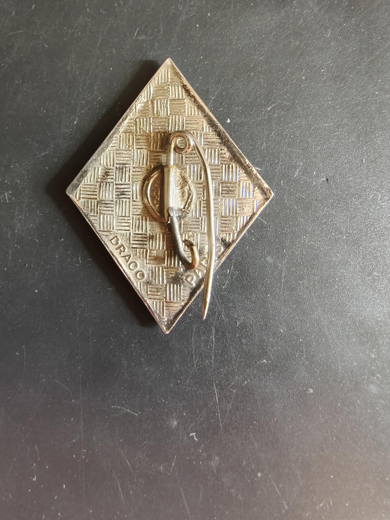 老王徽章第163期 13-15日三场连拍 16日统一发货  13、14日结束后可寄存 法国证章