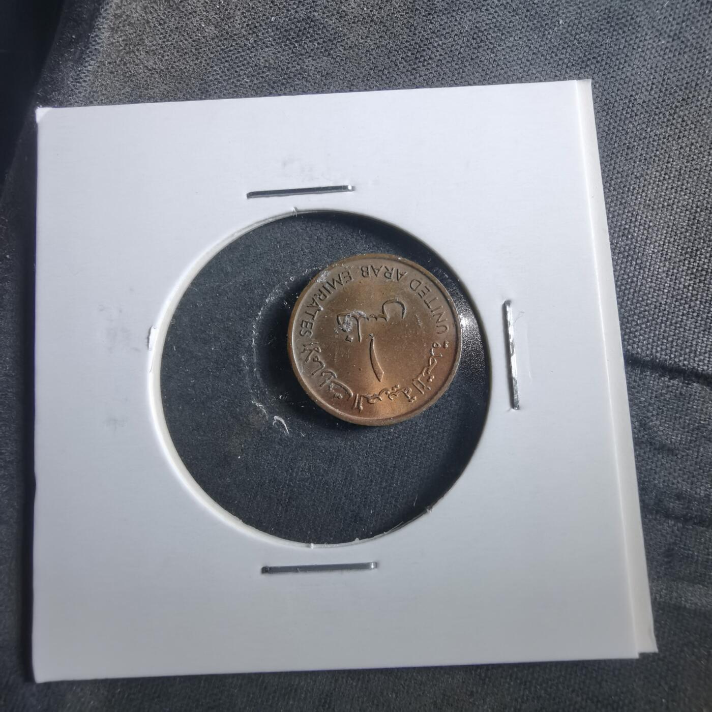 沼泽如烟--第906场 阿联酋