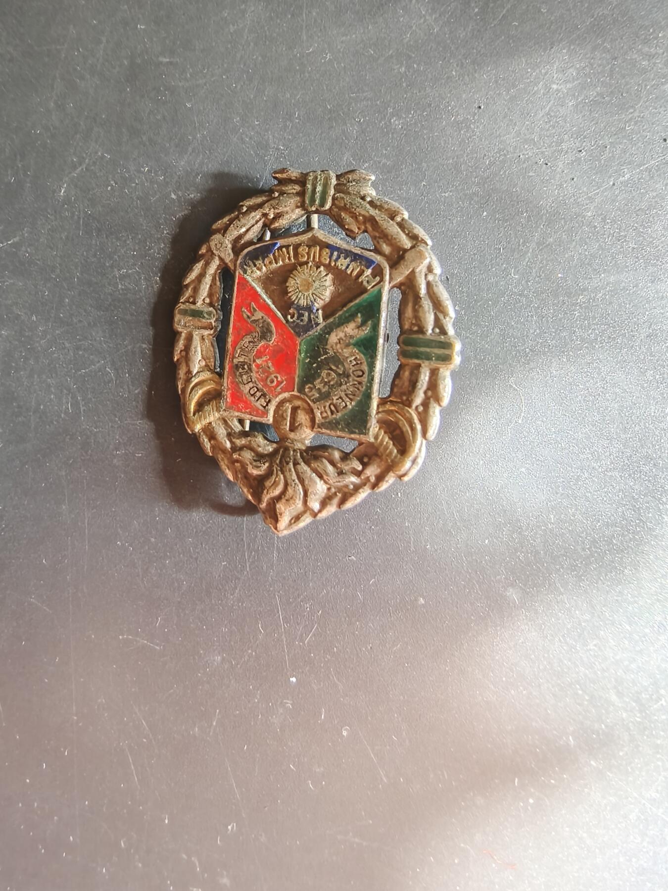 老王徽章第163期 13-15日三场连拍 16日统一发货  13、14日结束后可寄存 法国证章