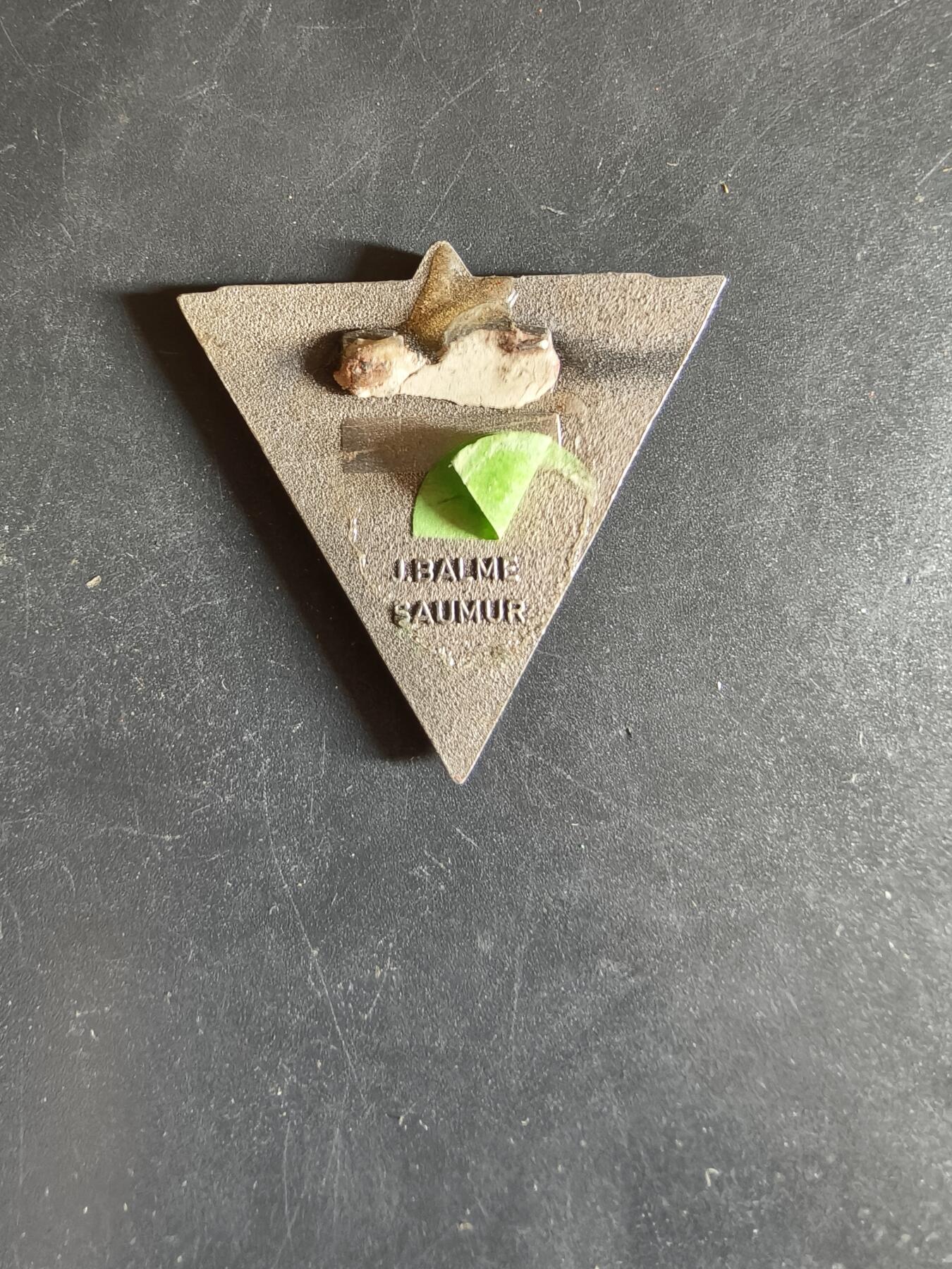 老王徽章第163期 13-15日三场连拍 16日统一发货  13、14日结束后可寄存 法国证章