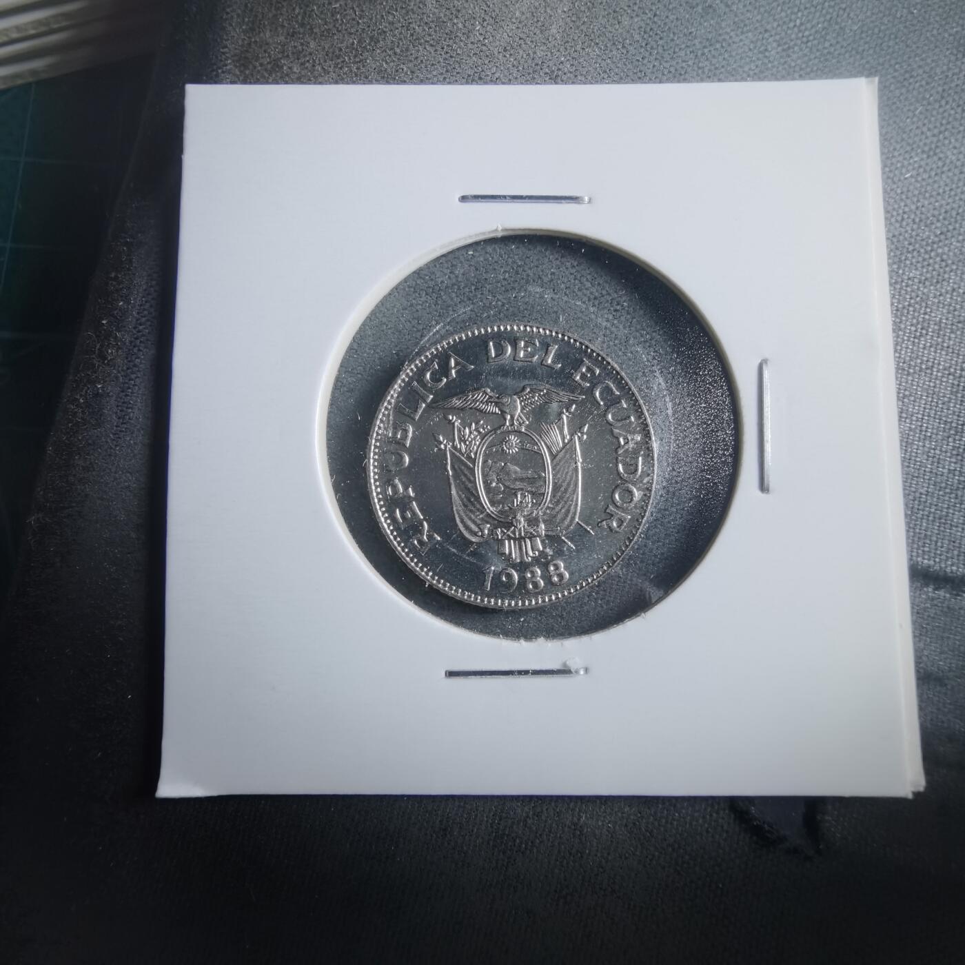 沼泽如烟--第906场